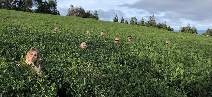 Wyłoniono zwycięzców w konkursie „The joy of Erasmus”