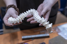 32. Seminarium „Wybrane Problemy Chemii”