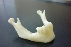 Na Politechnice Rzeszowskiej powstał model żuchwy wykonany techniką druku 3D